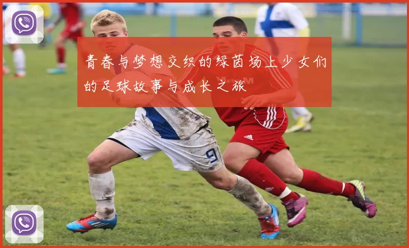 青春与梦想交织的绿茵场上少女们的足球故事与成长之旅
