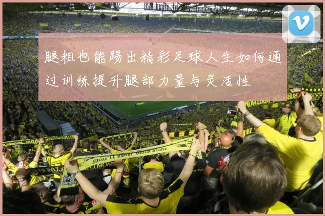腿粗也能踢出精彩足球人生如何通过训练提升腿部力量与灵活性
