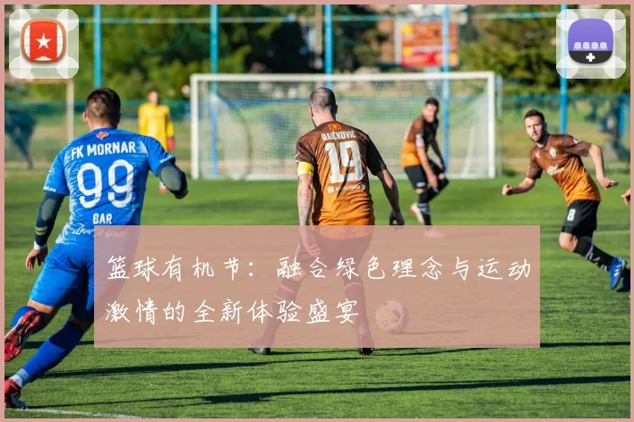 篮球有机节：融合绿色理念与运动激情的全新体验盛宴
