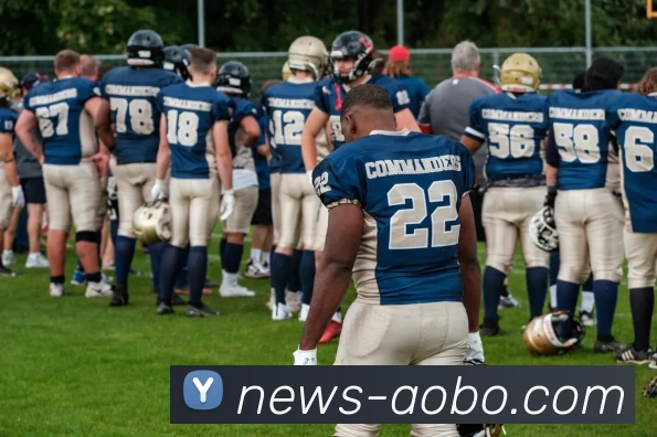 欧博平台生态图